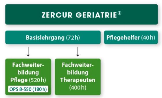 albertinen-akademie-grafik-aufbau-zercur-geriatrie-bundesverband-geriatrie